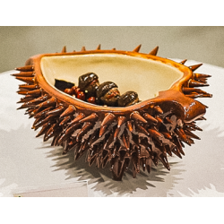 Salão Nacional de Arte Cerâmica divulga os premiados da 2ª edição